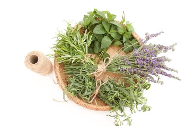 cut herbs and lavender
