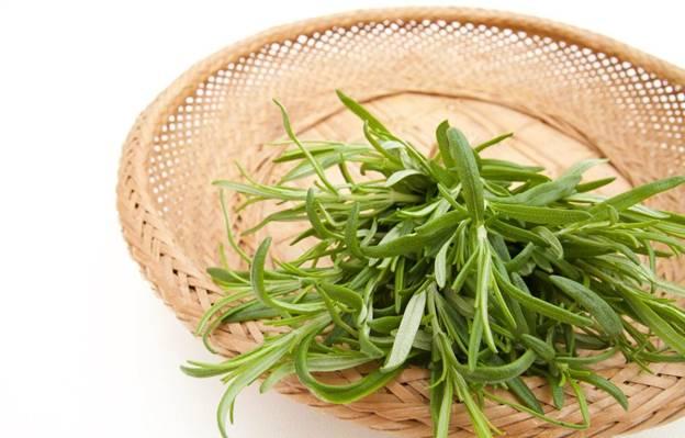 Cut rosemary in basket